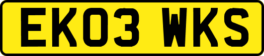 EK03WKS