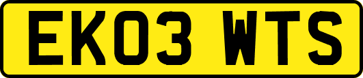 EK03WTS