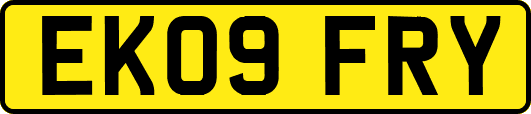 EK09FRY