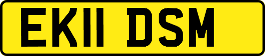 EK11DSM