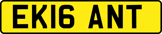 EK16ANT