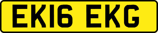 EK16EKG