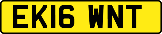 EK16WNT