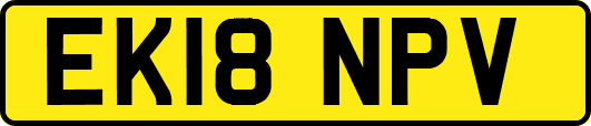 EK18NPV