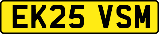 EK25VSM