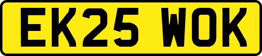 EK25WOK