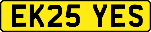 EK25YES
