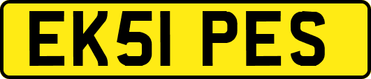 EK51PES