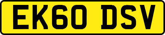 EK60DSV