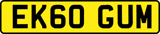 EK60GUM