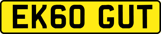 EK60GUT