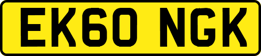 EK60NGK