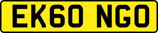 EK60NGO