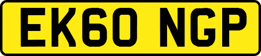 EK60NGP