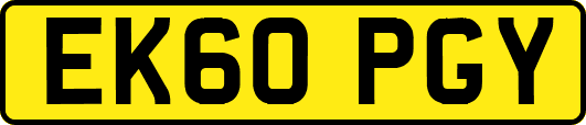 EK60PGY