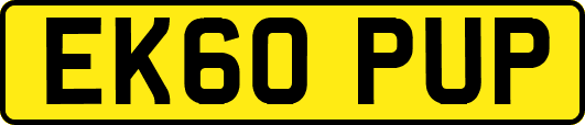 EK60PUP
