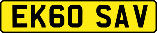EK60SAV