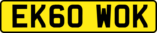 EK60WOK
