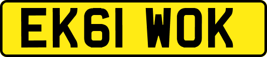 EK61WOK