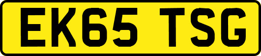 EK65TSG