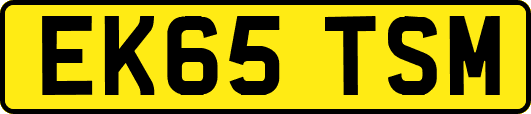 EK65TSM