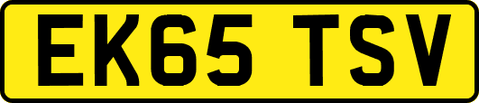 EK65TSV