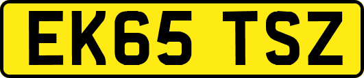 EK65TSZ