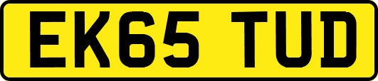 EK65TUD