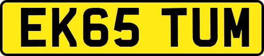 EK65TUM
