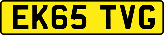 EK65TVG