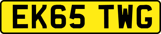 EK65TWG