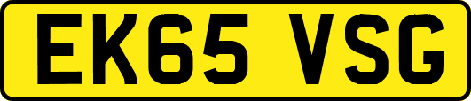 EK65VSG