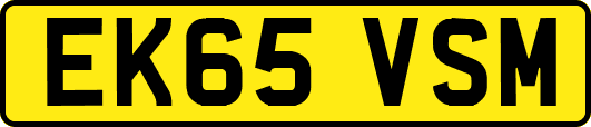 EK65VSM