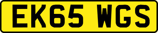 EK65WGS