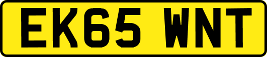 EK65WNT