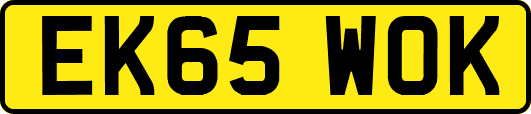 EK65WOK