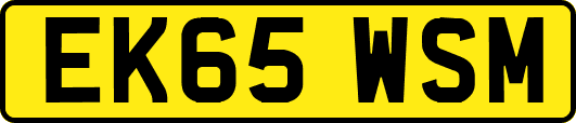 EK65WSM