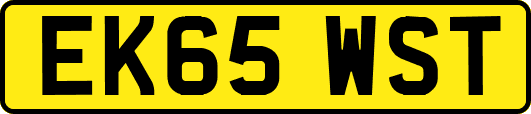 EK65WST