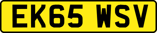 EK65WSV