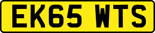 EK65WTS