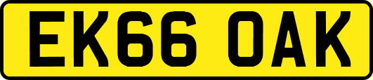 EK66OAK