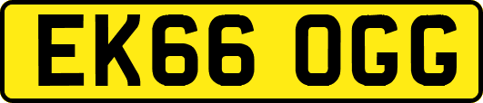 EK66OGG