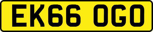 EK66OGO