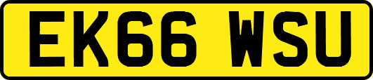 EK66WSU