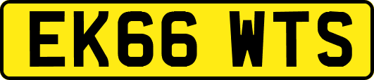 EK66WTS