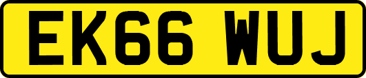 EK66WUJ