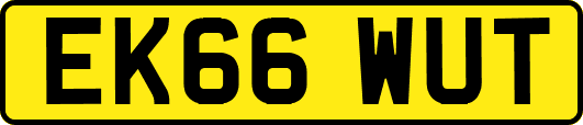 EK66WUT