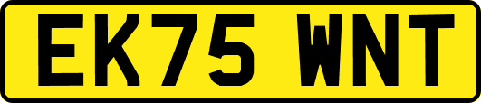 EK75WNT