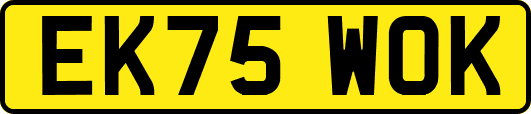 EK75WOK
