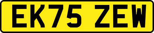 EK75ZEW